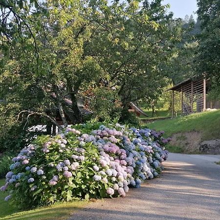 Apartma Na Ravnicah Церкно Экстерьер фото